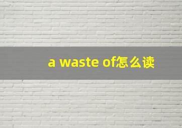 a waste of怎么读